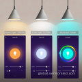 Smart Emergency Bulb Color Temp 2.4G WiFi Bulb Supplier